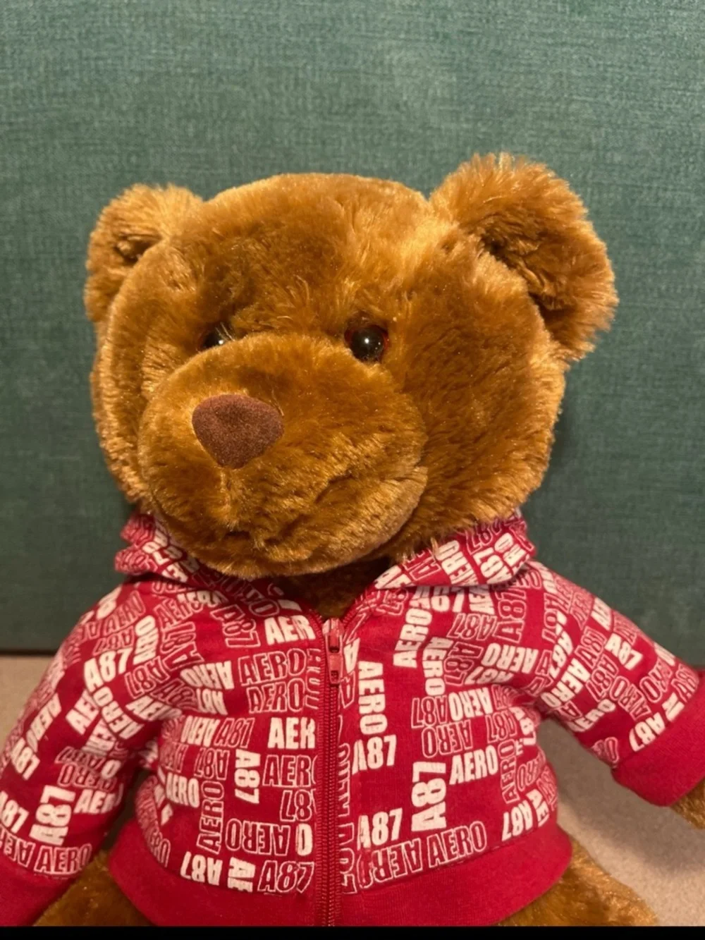 Aeropostale Aero Bear Red Hoodie Logo Brown Plush 2007